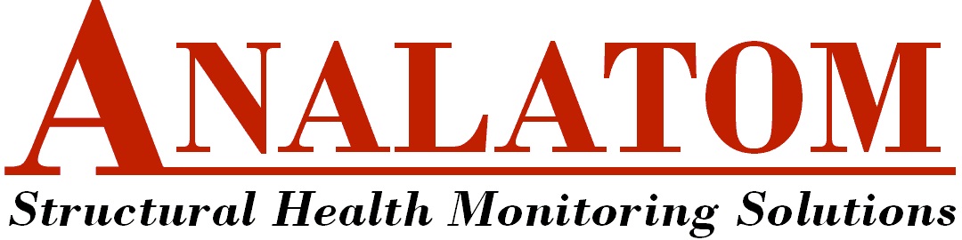 Analatom Logo